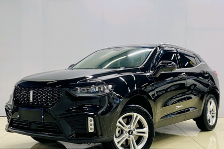 丹东二手魏牌VV5 2021款 1.5T 双离合 颜先锋