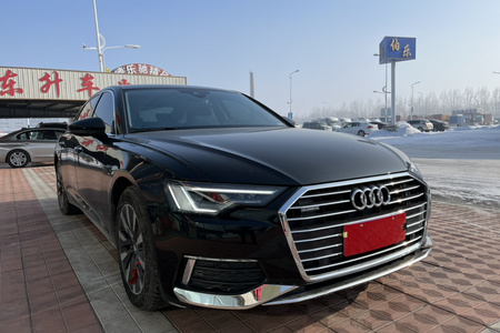 哈尔滨二手奥迪A6L 2020款 45 TFSI 臻选致雅版