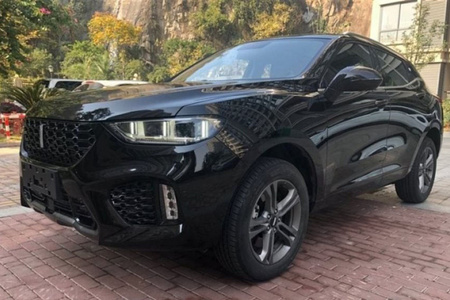 昭通二手魏牌VV5 2019款 1.5T 双离合 两驱 潮先锋