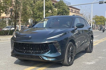 温州二手风行T5 EVO