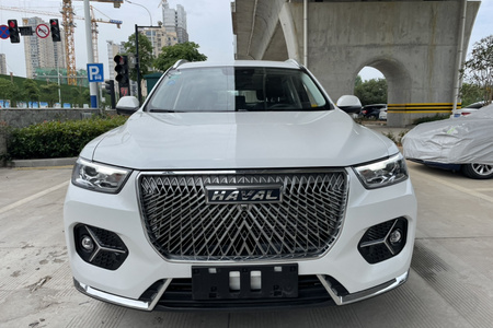温州二手哈弗H6 2021款 1.5GDIT 双离合 冠军版