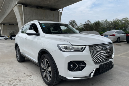 温州二手哈弗H6 2021款 1.5GDIT 双离合 冠军版