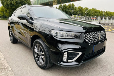 资阳二手魏牌VV5 2021款 1.5T 双离合 颜先锋